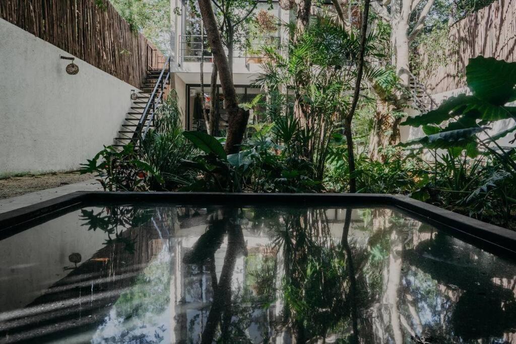 Apartment With Private Plunge Pool At Madara Tulum Earth 1 Exteriör bild